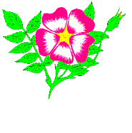+flower+blossom+ clipart