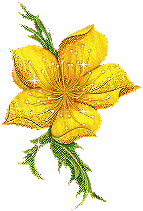 +flower+blossom+ clipart