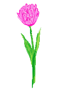+flower+blossom+ clipart
