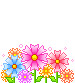 +flower+blossom+ clipart