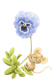 +flower+blossom+ clipart
