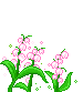 +flower+blossom+ clipart
