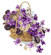 +flower+blossom+ clipart