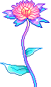 +flower+blossom+ clipart