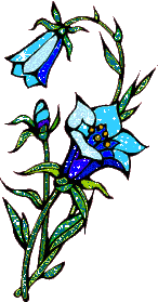 +flower+blossom+ clipart