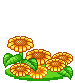 +flower+blossom+ clipart