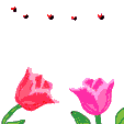+flower+blossom+ clipart