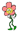 +flower+blossom+ clipart