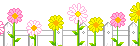 +flower+blossom+ clipart