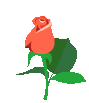 +flower+blossom+ clipart