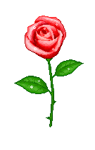 +flower+blossom+ clipart