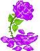 +flower+blossom+ clipart