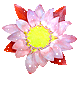 +flower+blossom+ clipart