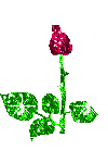 +flower+blossom+ clipart