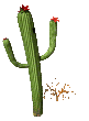 +flower+blossom+ clipart