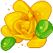 +flower+blossom+ clipart