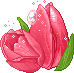 +flower+blossom+ clipart