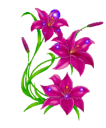 +flower+blossom+ clipart