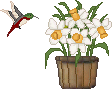 +flower+blossom++ clipart