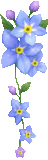 +flower+blossom+blue+flowers++ clipart