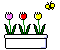 +flower+blossom+box+of+flowers++ clipart