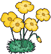 +flower+blossom+buttercups++ clipart