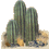 +flower+blossom+cacti++ clipart