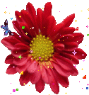 +flower+blossom+flower++ clipart