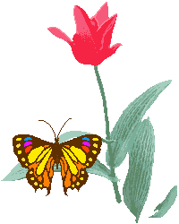 +flower+blossom+flower++ clipart
