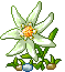 +flower+blossom+flower++ clipart