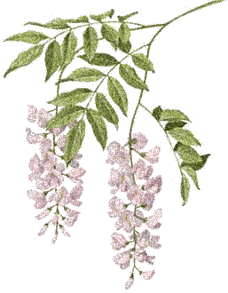 +flower+blossom+flower++ clipart