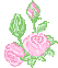 +flower+blossom+flower++ clipart