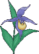 +flower+blossom+flower++ clipart