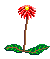 +flower+blossom+flower++ clipart