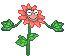 +flower+blossom+flower++ clipart