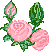+flower+blossom+flower++ clipart