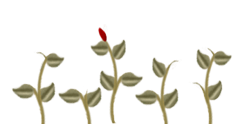 +flower+blossom+flower++ clipart