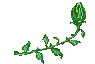 +flower+blossom+flower++ clipart