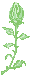 +flower+blossom+flower++ clipart