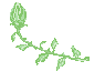 +flower+blossom+flower++ clipart
