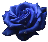 +flower+blossom+flower++ clipart