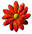 +flower+blossom+flower++ clipart