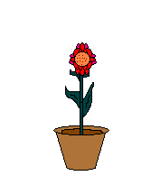 +flower+blossom+flower+with+a+bee++ clipart