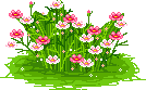 +flower+blossom+flowers++ clipart