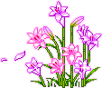 +flower+blossom+flowers++ clipart