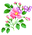 +flower+blossom+flowers++ clipart
