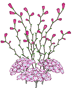+flower+blossom+lots+of+pink+flowers++ clipart