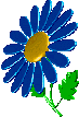 +flower+blossom+multi+flower++ clipart