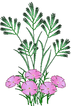 +flower+blossom+pink+and+grass++ clipart