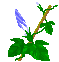 +flower+blossom+pot+with+a+flower++ clipart